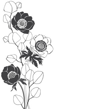 black and white anemone flowers arrangement clip art preview