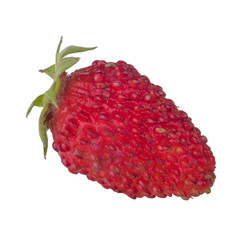 single fresh red wild strawberry isolated on white background