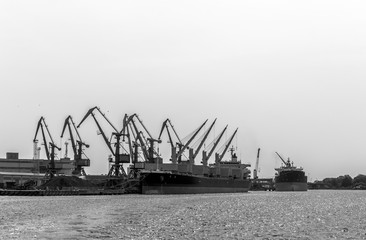 Cranes in the port 