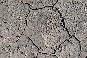 Cracked soil background