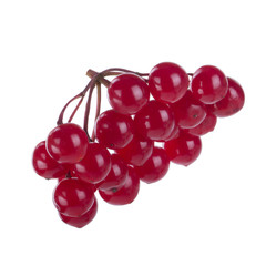 bunch of snowballs (quelder) isolated on white background