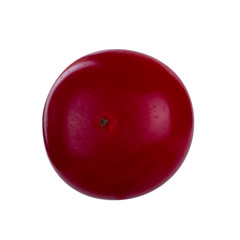 single fresh red snowball berry isolated on white background