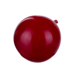 single fresh red snowball berry isolated on white background
