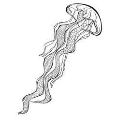 Jellyfish. Vector hand-drawn illustration on a white background. Isolated element for design.