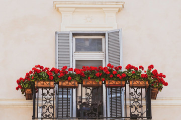 Fototapeta na wymiar beautiful cosines vintage balcony with red flowers and blue shutters