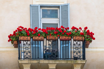 Fototapeta na wymiar beautiful cosines balcony with flowers and blue shutters