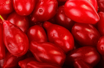 fresh red cornels background
