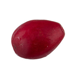 fresh red cornel isolated on white background