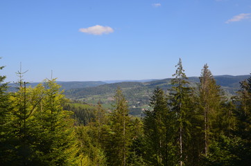 Col du Singe - Cleurie (88)