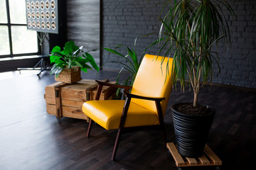 Brutal modern interior in a dark color with a yellow leather chair. Loft style living room