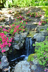 flowers in the garden