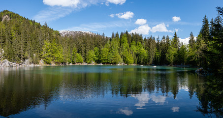 Fototapeta na wymiar Lac vert à Passy