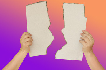 women's hands hold two pieces of torn paper with torn edges on a gradient background, isolate, copy space