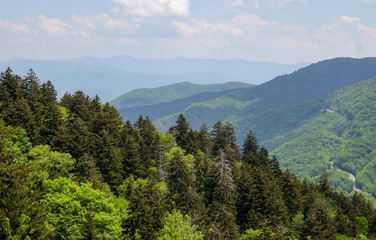 Fototapeta premium Newfound Gap Overlook