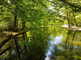Fototapeta premium River in kings garden. From Germany.