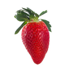 single strawberry isolated on white background