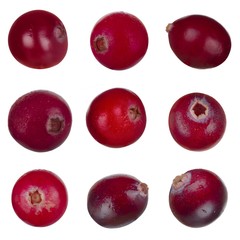 set of cranberries isolated on white background