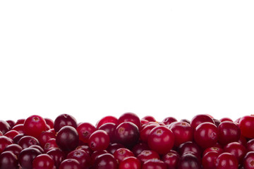 heap of cranberries isolated on white background