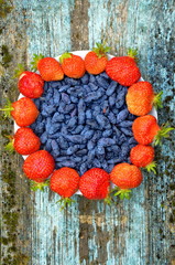 berries on a background
