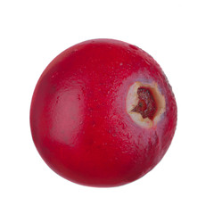 single red moorberry isolated on white background