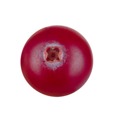 single cranberry isolated on white background
