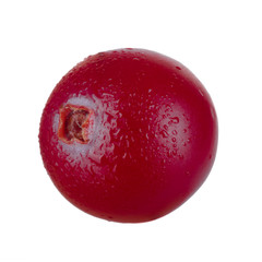 single cranberry with water drops isolated on white background