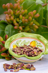 Sweet, delicate, fragrant nuts, Bronte pistachios with  brilliant green colour and handmade pistachio chocolate