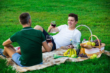 Naklejka na ściany i meble man with friend enjoying picnic