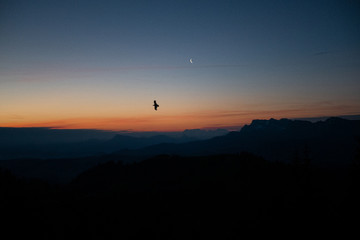 Vogel bei Sonnenaufgang mit Mond und Bergpanorma