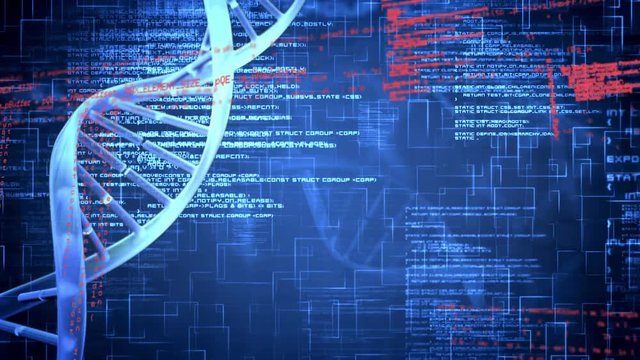 DNA double helix and digital codes
