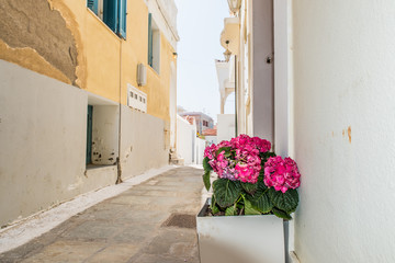 Fototapeta na wymiar Traditional alleys at the Chora of Andros on a beautiful day