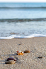 Fototapeta na wymiar Nature background with sea coastline, sea shells and stones