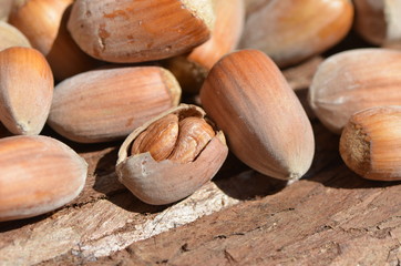 Noisette double - Philippine 