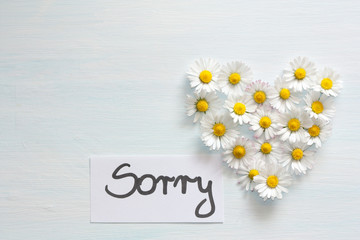 Word sorry and flowers on light background.
