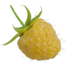 yellow raspberry isoalted on white background