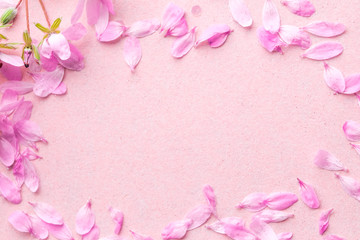 Obraz na płótnie Canvas Blossom pink flowers on pink background.