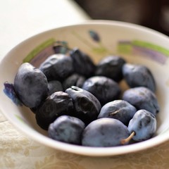Blue plums lie in a deep white plate on the table.