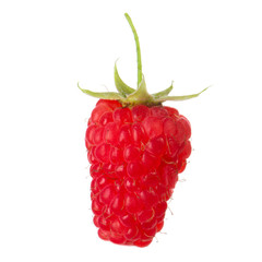 single red fresh raspberry isolated on white background