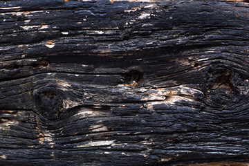 Black grunge background. Burned wood texture.Burned scratched hardwood surface. Smoking wood plank background.
