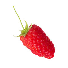 single red fresh raspberry isolated on white background