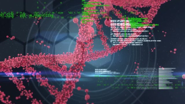 DNA double helix and digital codes