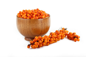 sea buckthorn in wooden cup and branch isolated on white