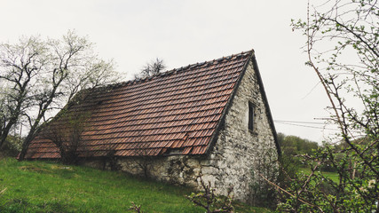 Obraz premium Abandoned old stone rural house. Village house. Derelict haunted stone house and dirt road in the woods. Tree white blossom