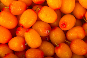 fresh sea backthorn berries with water drops  background