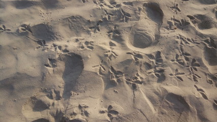 Textura de Areia