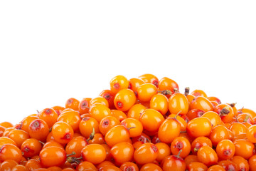 heap of sea buckthorn isolated on white