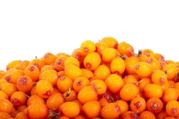 heap of sea buckthorn isolated on white