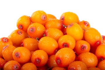 heap of sea buckthorn isolated on white