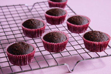 Chocolate mini cupcakes on rack.