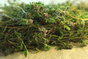 Fresh thyme herb in bloom, lemon thyme plants, linen background, healthy food, greens.